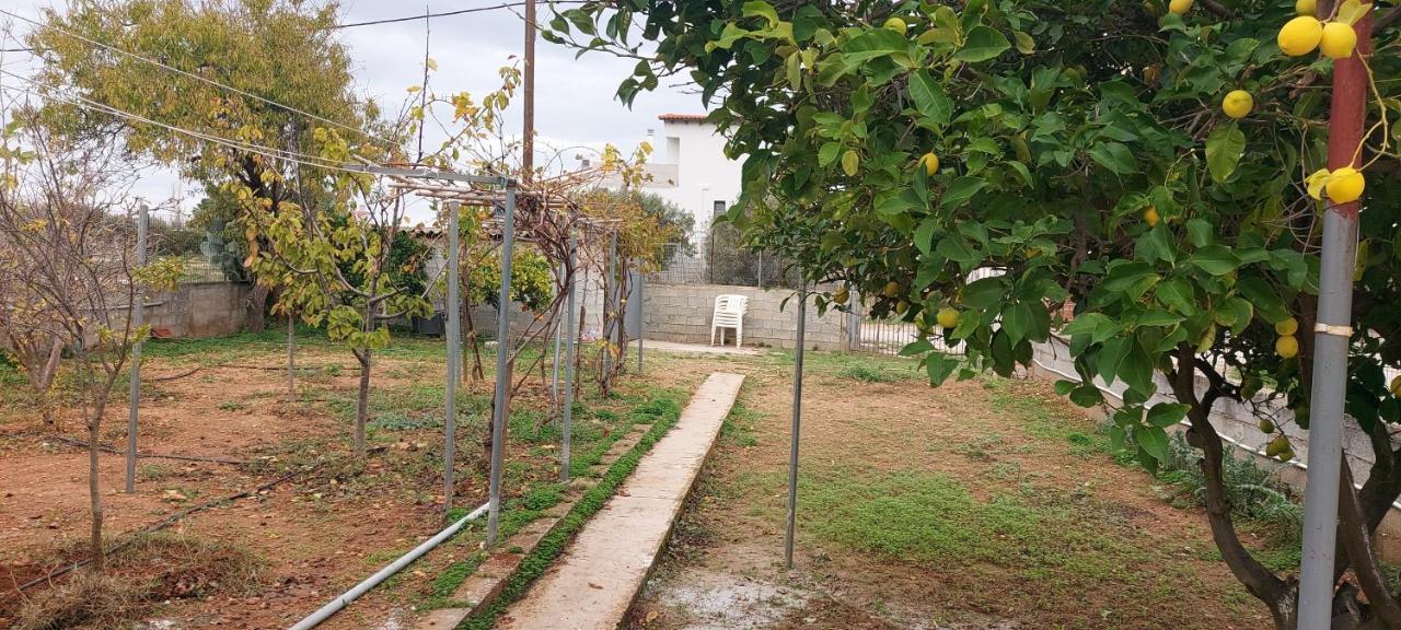 Melina'S Comfort Rustic Home Αρτέμιδα Εξωτερικό φωτογραφία